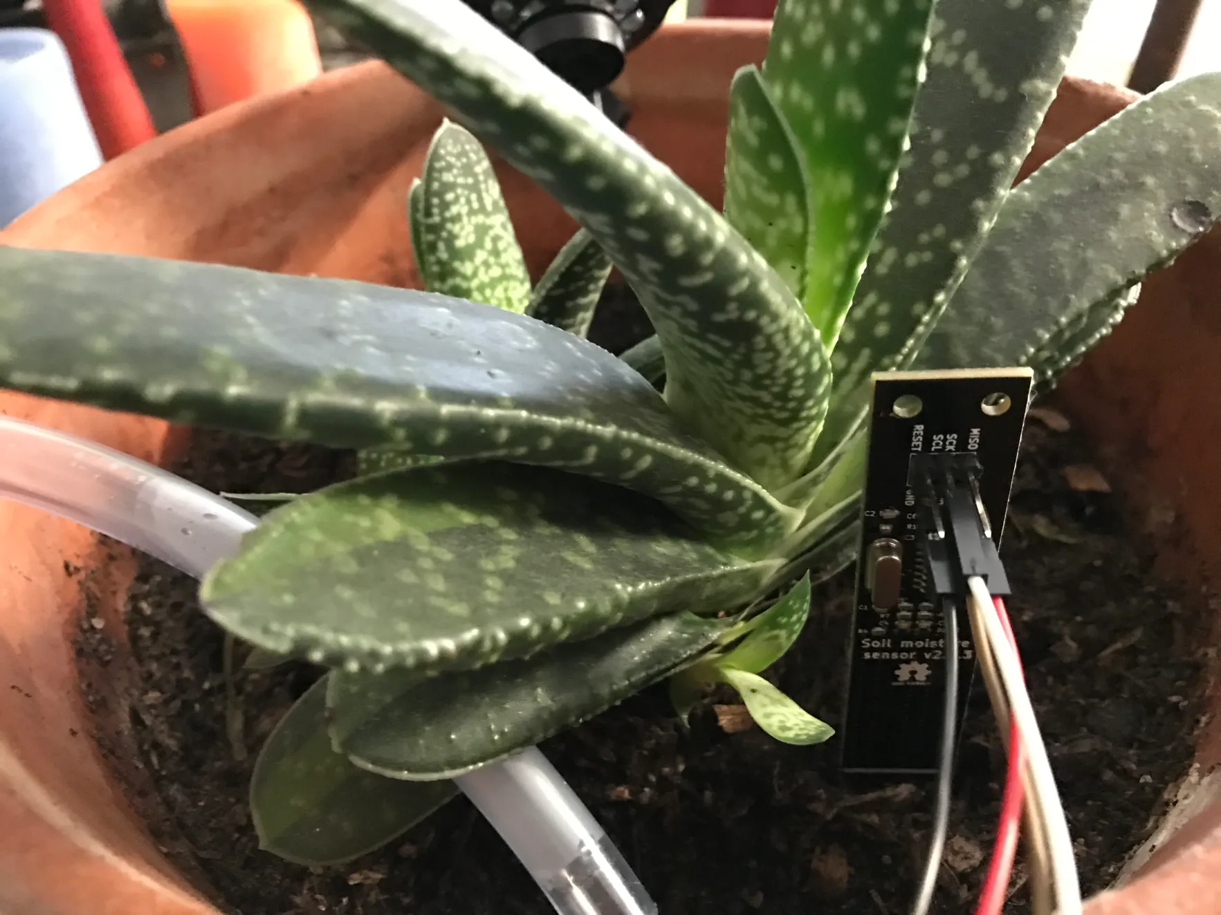 An innocent test subject with the connected sensor.